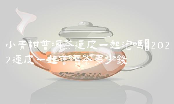 小青柑普洱茶连皮一起泡吗(2022连皮一起普洱茶多少钱 小青柑普洱茶连皮一起泡吗(2022连皮一起普洱茶多少钱