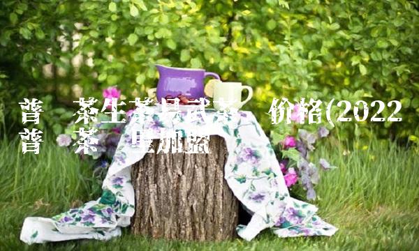 普洱茶生茶易武茶饼价格(2022普洱茶这里加盟 普洱茶生茶易武茶饼价格(2022普洱茶这里加盟