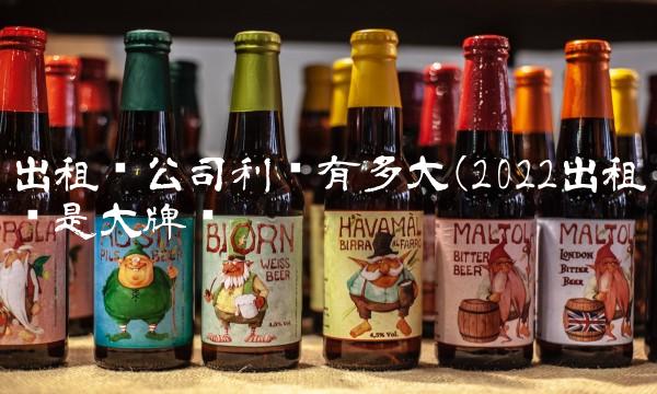 出租车公司利润有多大(2022出租车是大牌吗