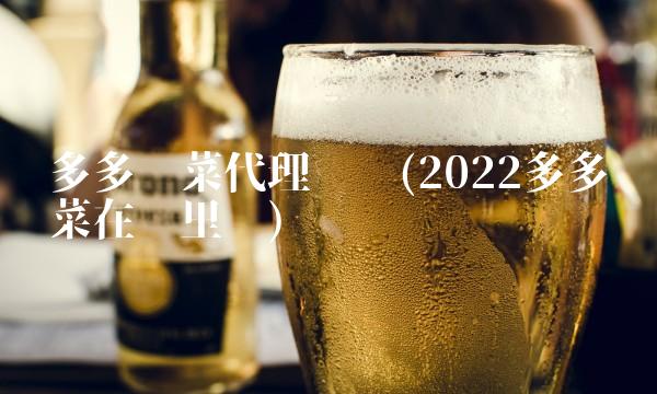 多多买菜代理电话(2022多多买菜在哪里买)