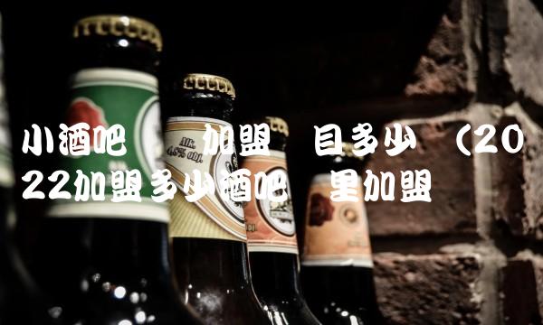 小酒吧连锁加盟项目多少钱(2022加盟多少酒吧这里加盟