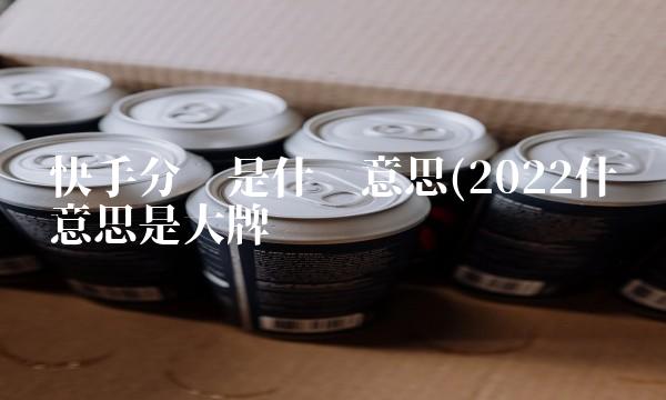快手分销是什么意思(2022什么意思是大牌吗