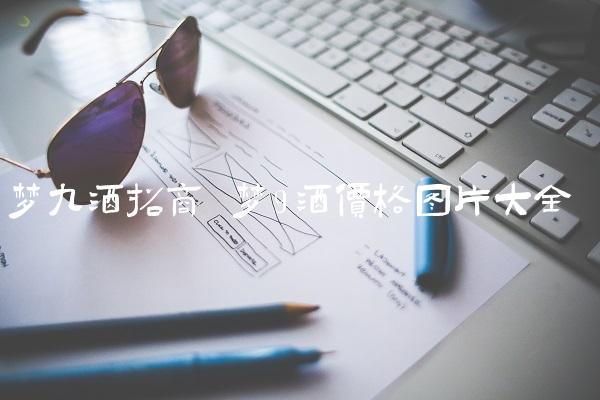 梦九酒招商 梦9酒价格图片大全
