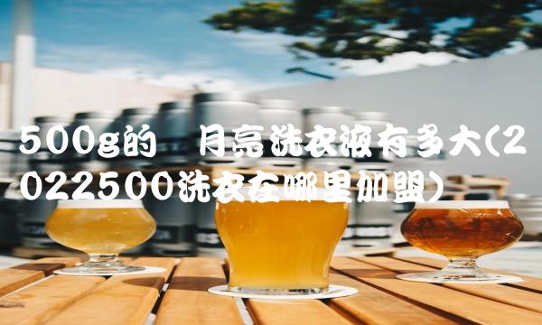 500g的蓝月亮洗衣液有多大(2022500洗衣在哪里加盟)
