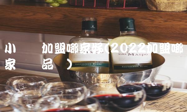 小宾馆加盟哪家好(2022加盟哪家宾馆品尝)