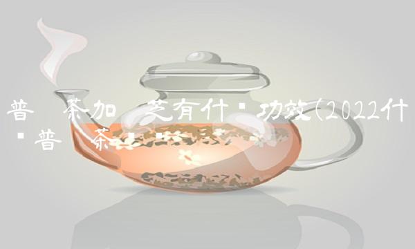 冰岛普洱茶生茶357克价格2009年的价格(2022冰岛357普洱茶好喝吗)