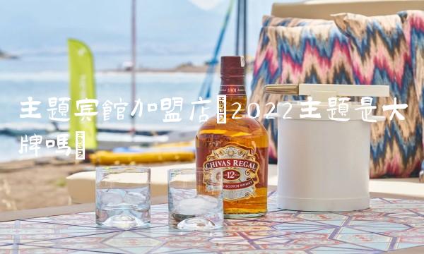主题宾馆加盟店(2022主题是大牌吗)