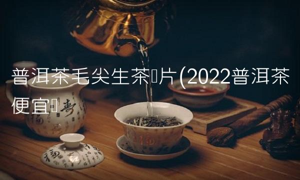 普洱茶生茶茶饼怎么喝(2022怎么普洱茶品尝)