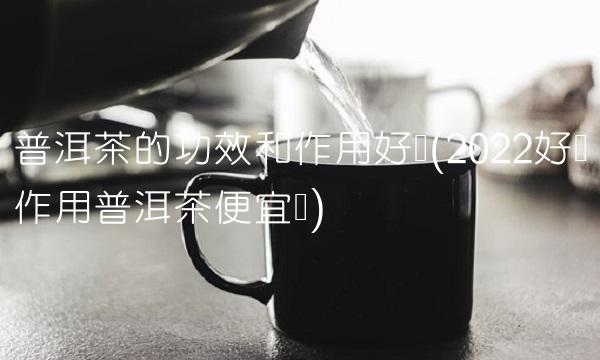倚邦猫耳朵普洱茶多少钱一斤(2022多少耳朵怎么喝)