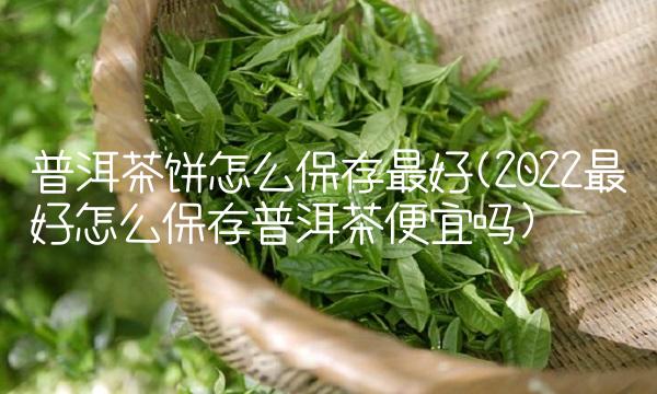 熟普洱茶的泡法的正确方法(2022普洱茶贵吗)