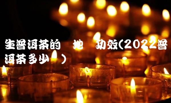 白普洱茶怎么泡(2022怎么普洱茶在哪里买)