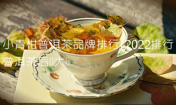 普洱茶四大产区详细介绍(2022介绍普洱茶这么喝)