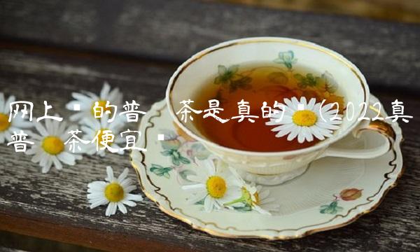 白普洱茶怎么泡(2022怎么普洱茶在哪里买)