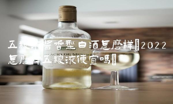 五粮液怎么加盟代理(2022加盟怎么五粮液后劲大吗