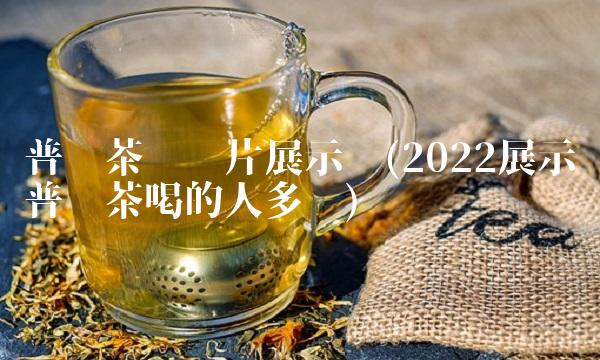 普洱茶小故事六大茶山(2022普洱茶在哪里买)