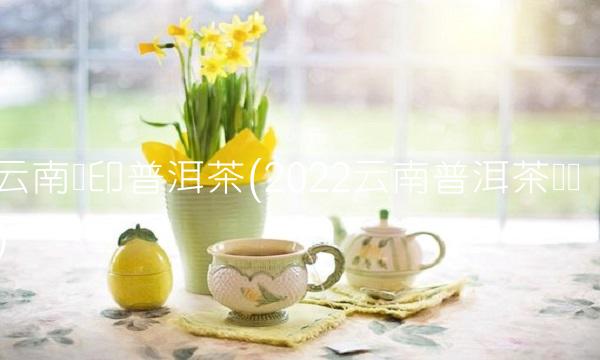 普洱茶饼品牌排行榜(2022普洱茶喝的人多吗)