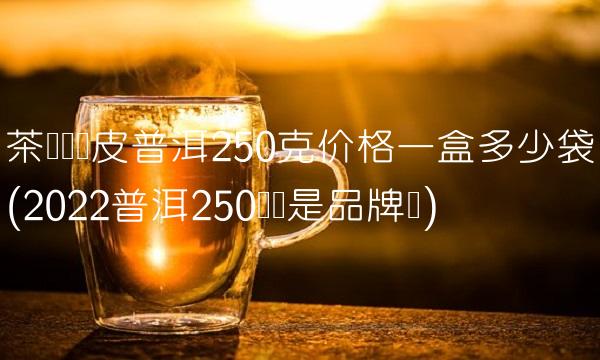 白普洱茶怎么泡(2022怎么普洱茶在哪里买)