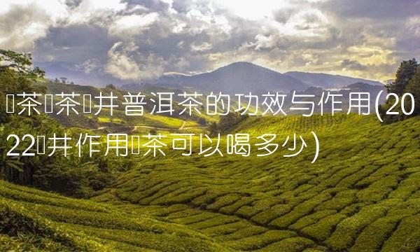 普洱茶产区分布及特点(2022分布普洱茶贵吗)