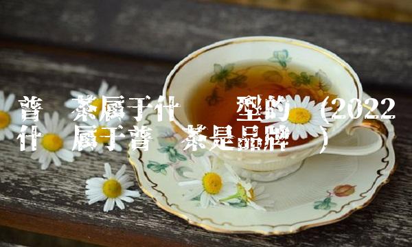 普洱茶是生茶好还是熟茶好喝(2022好喝普洱茶这么喝)