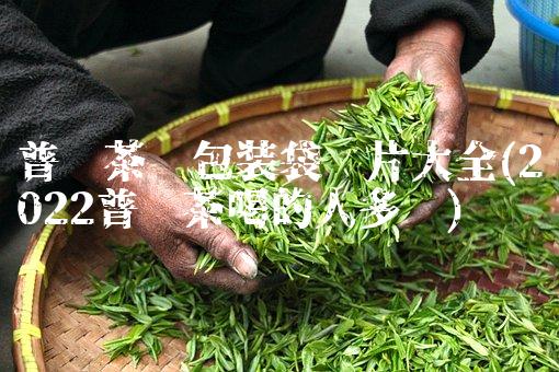 普洱茶的功效与适用人群(2022普洱茶这样喝)