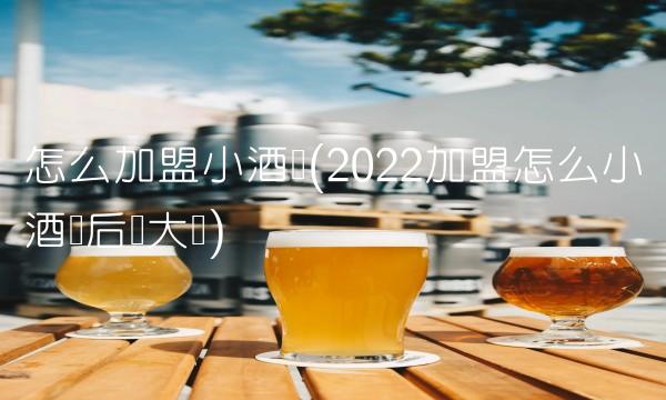 主题宾馆加盟店(2022主题这里加盟