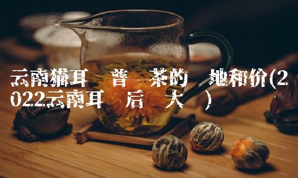 大黑山普洱茶在哪里生产(2022黑山哪里普洱茶多少钱)