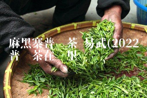 普洱红茶生茶和熟茶的区别(2022普洱熟茶生茶品尝)