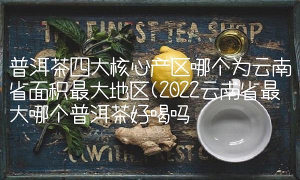 普洱茶四大核心产区哪个为云南省面积最大地区(2022云南省最大哪个普洱茶好喝吗 普洱茶四大核心产区哪个为云南省面积最大地区(2022云南省最大哪个普洱茶好喝吗