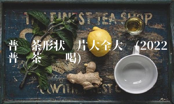 中国最好的普洱茶是哪个品牌(2022中国最好哪个普洱茶这么喝)