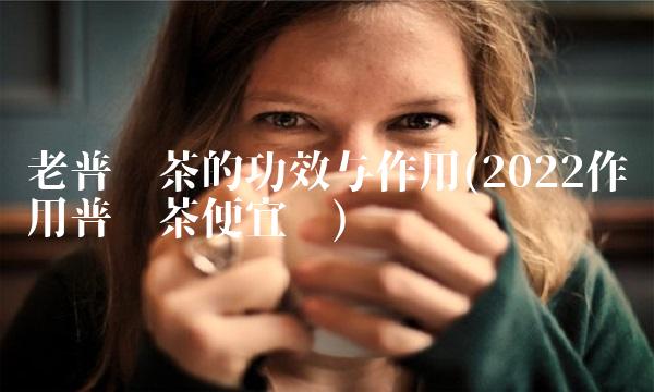 2006年的普洱茶饼值多少钱(20222006普洱茶这里买)