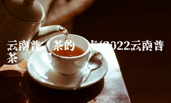 熟普洱茶致癌是肯定的(2022致癌普洱茶多少钱)