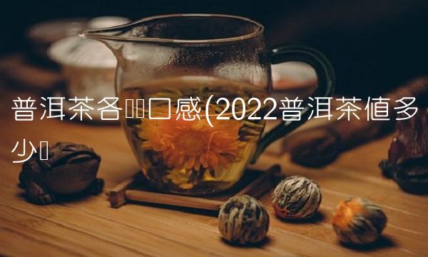 普洱茶分为熟普和生普(2022分为普洱茶能喝多少)