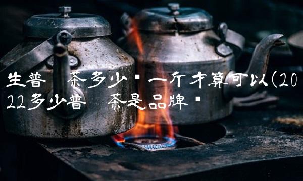 赞美老普洱茶的句子(2022赞美普洱茶后劲大吗)