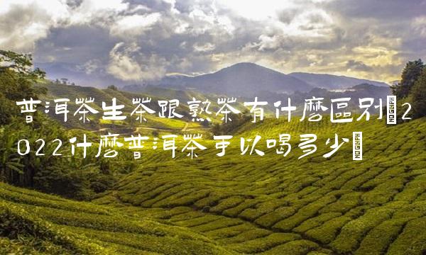什么样的普洱茶才是好茶叶(2022什么样普洱茶能喝多少)