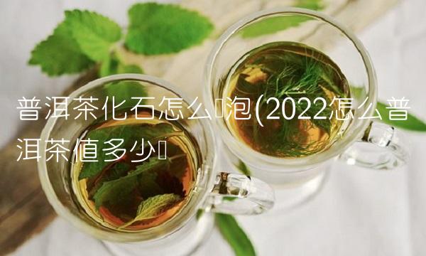 普洱茶分为熟普和生普(2022分为普洱茶能喝多少)