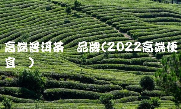熟普洱茶致癌是肯定的(2022致癌普洱茶多少钱)