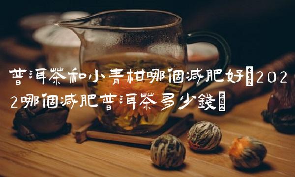 白沙河普洱茶是哪个产区(2022沙河哪个普洱茶这样喝)