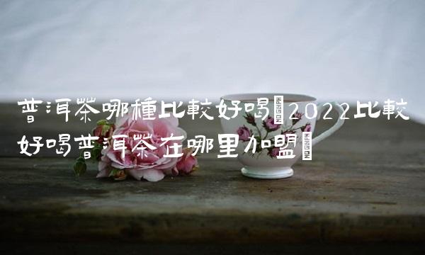 普洱茶属于什么类型的茶(2022什么属于普洱茶是品牌吗)