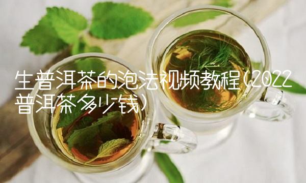 生普洱茶的泡法视频教程(2022普洱茶多少钱) 生普洱茶的泡法视频教程(2022普洱茶多少钱)