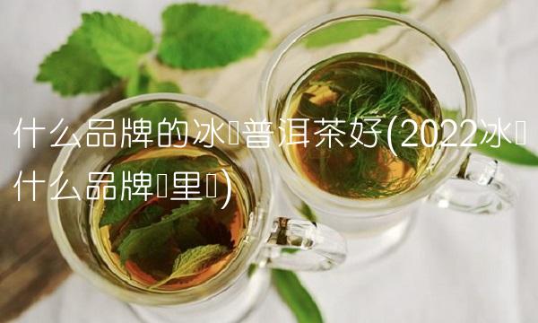 什么品牌的冰岛普洱茶好(2022冰岛什么品牌这里买) 什么品牌的冰岛普洱茶好(2022冰岛什么品牌这里买)