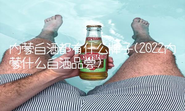 内蒙白酒都有什么牌子(2022内蒙什么白酒品尝)