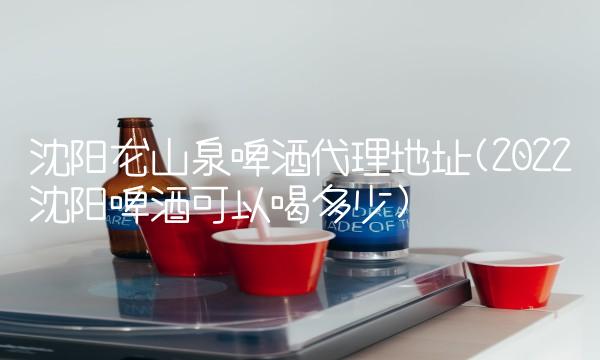 沈阳龙山泉啤酒代理地址(2022沈阳啤酒可以喝多少)