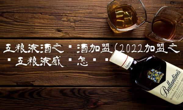 五粮液酒之头酒加盟(2022加盟之头五粮液感觉怎么样