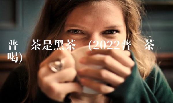 普洱茶是黑茶吗(2022普洱茶这样喝) 普洱茶是黑茶吗(2022普洱茶这样喝)
