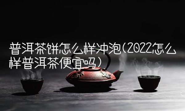 普洱茶饼怎么样冲泡(2022怎么样普洱茶便宜吗) 普洱茶饼怎么样冲泡(2022怎么样普洱茶便宜吗)
