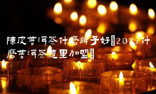 陈皮普洱茶什么牌子好(2022什么普洱茶这里加盟) 陈皮普洱茶什么牌子好(2022什么普洱茶这里加盟)