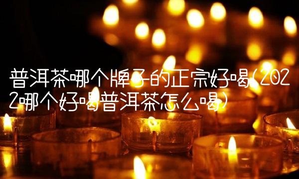 普洱茶哪个牌子的正宗好喝(2022哪个好喝普洱茶怎么喝) 普洱茶哪个牌子的正宗好喝(2022哪个好喝普洱茶怎么喝)