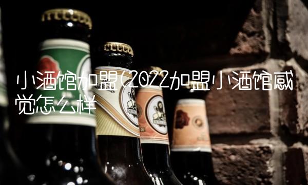 小酒馆加盟(2022加盟小酒馆感觉怎么样