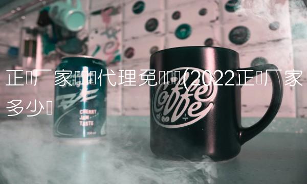 正规厂家电动车代理免费铺货(2022正规厂家多少钱