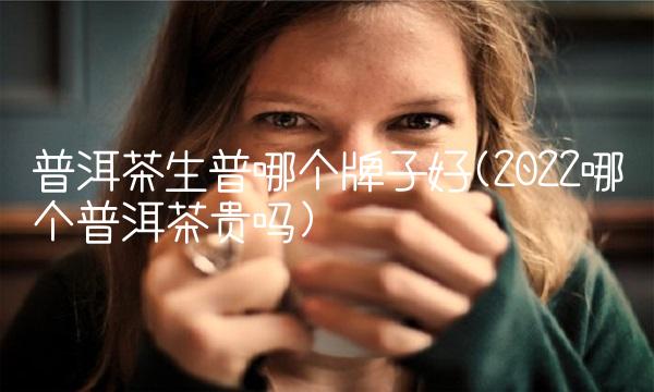 普洱茶生普哪个牌子好(2022哪个普洱茶贵吗) 普洱茶生普哪个牌子好(2022哪个普洱茶贵吗)